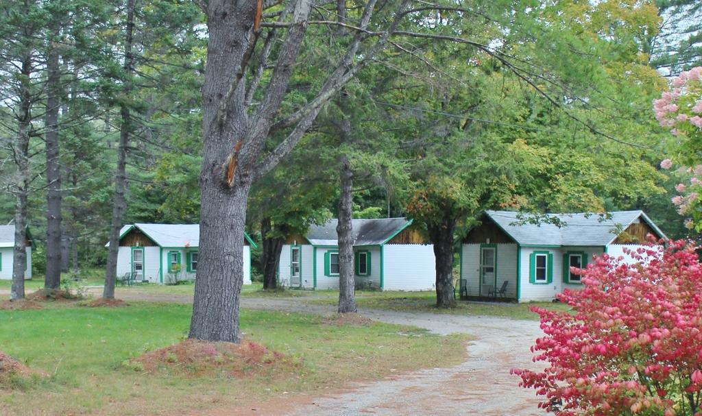 Pine Valley Cabins Thornton Chambre photo