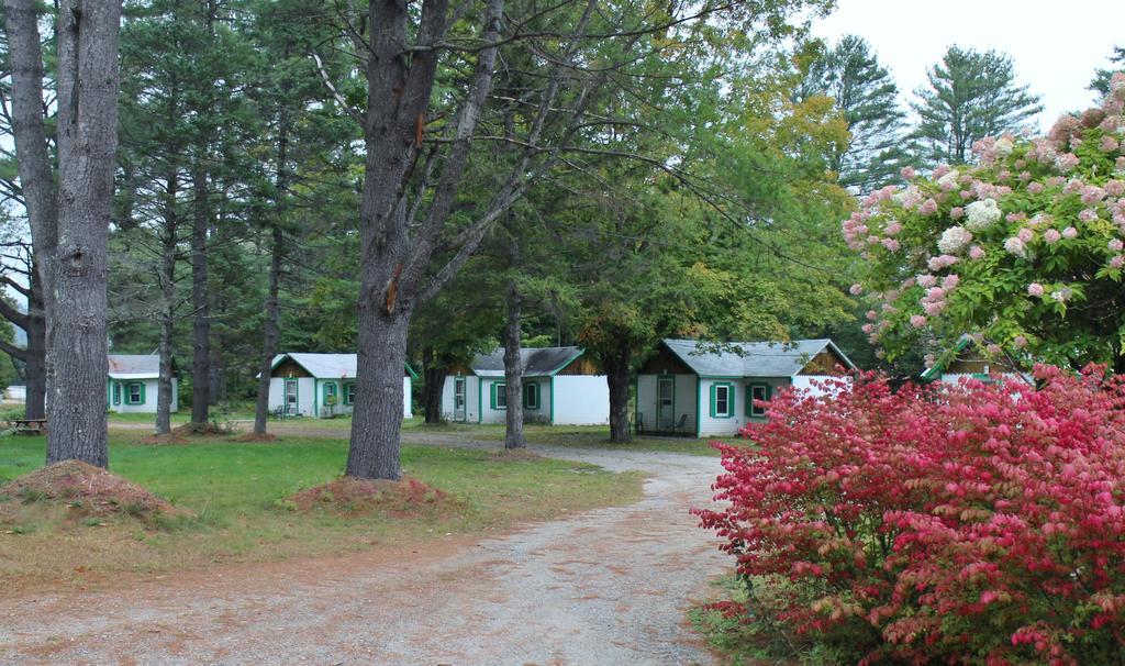 Pine Valley Cabins Thornton Extérieur photo