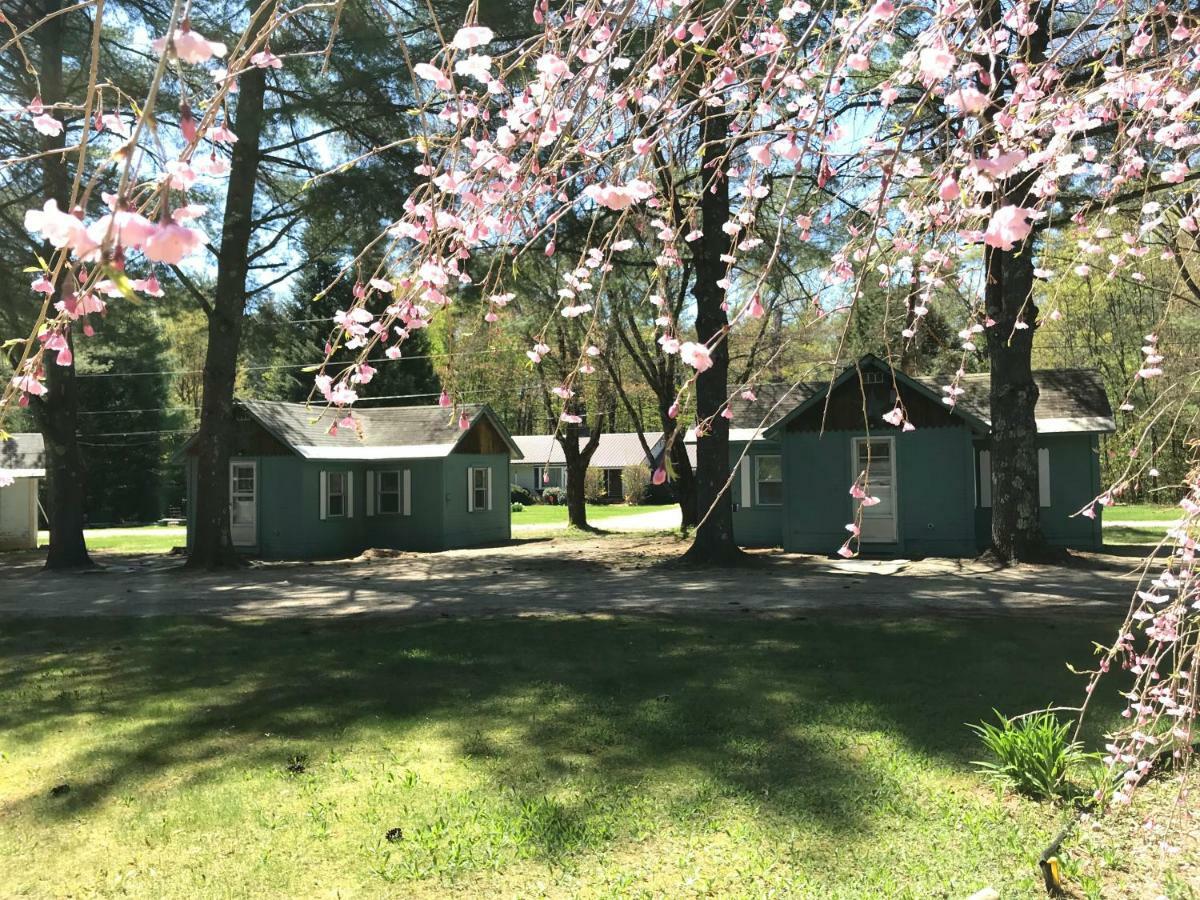 Pine Valley Cabins Thornton Extérieur photo